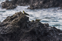 NIKON D7200-20150725-064309-0