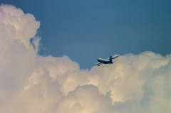 NIKON 1 V2-20150607-144601-0