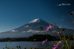 NIKON D810-20151018-081351-0