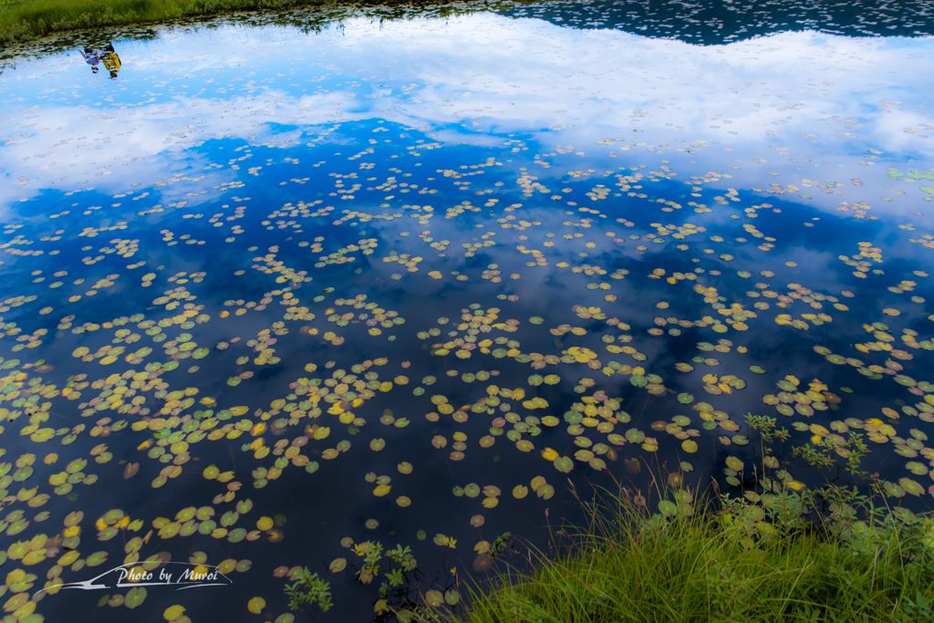 NIKON D810-20150822-074005-0