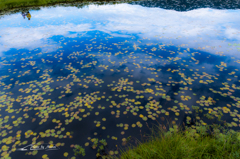 NIKON D810-20150822-074005-0
