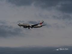 20151129-140924-0-E-M5MarkII