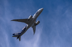 NIKON D810-20150620-091740-0