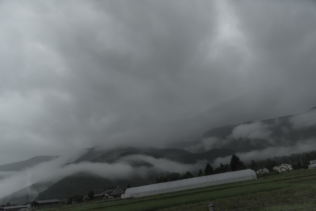 NIKON D810-20150719-070612-0