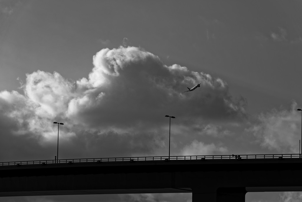 20151212-142918-0-NIKON D810