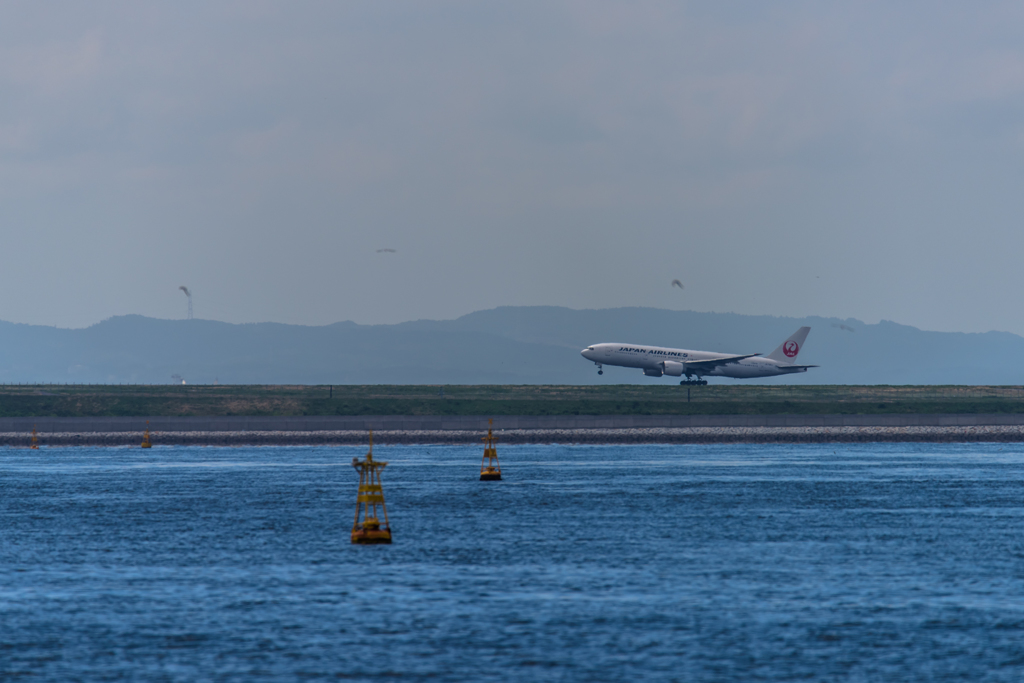 NIKON D810-20150620-095309-0