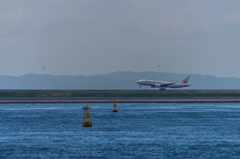 NIKON D810-20150620-095309-0