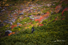 NIKON D810-20151004-104611-0