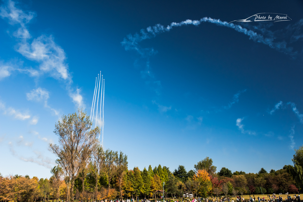 20151103-135805-0-NIKON D810