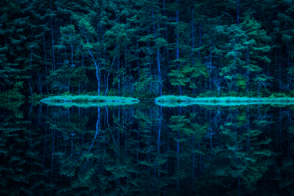 NIKON D810-20150704-042807-1