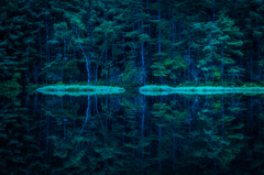 NIKON D810-20150704-042807-1