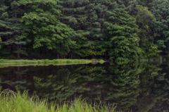 NIKON D810-20150704-045807-0