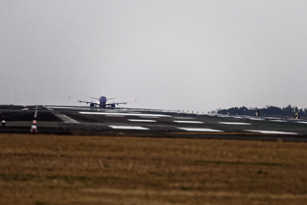 20151231-092638-0-NIKON D810