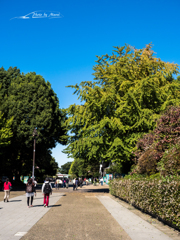 E-M5MarkII-20151008-093426-0