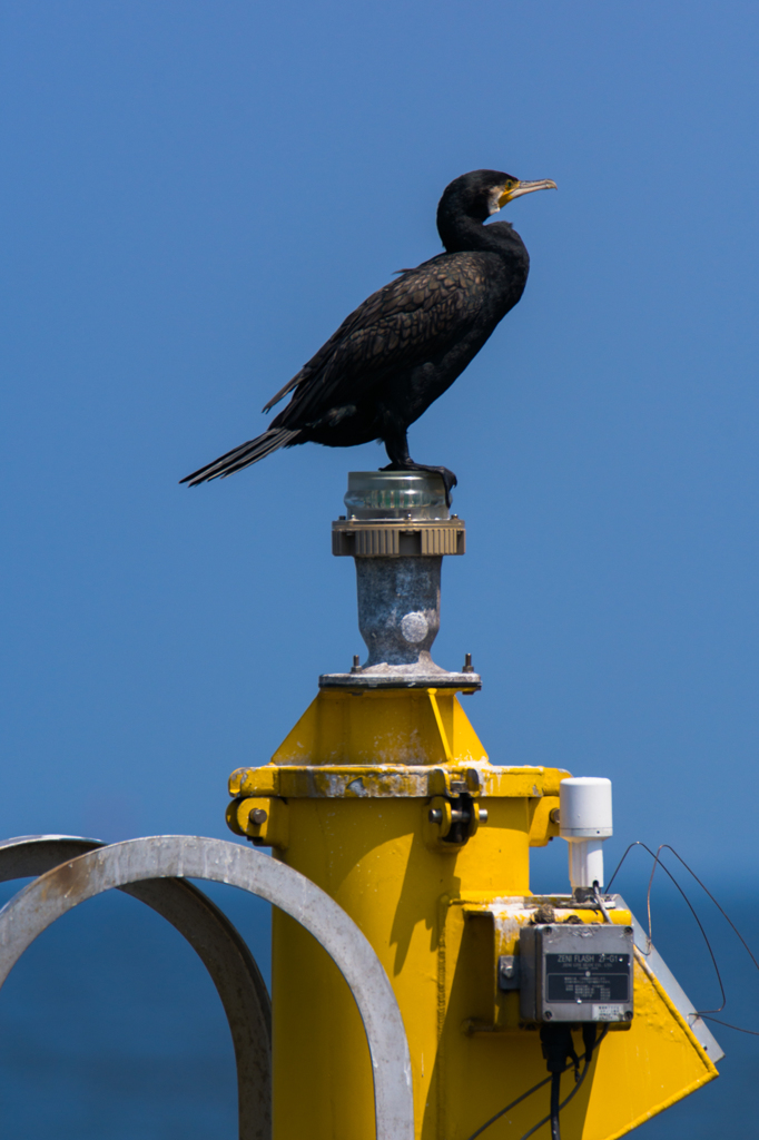NIKON D7200-20150711-131650-0