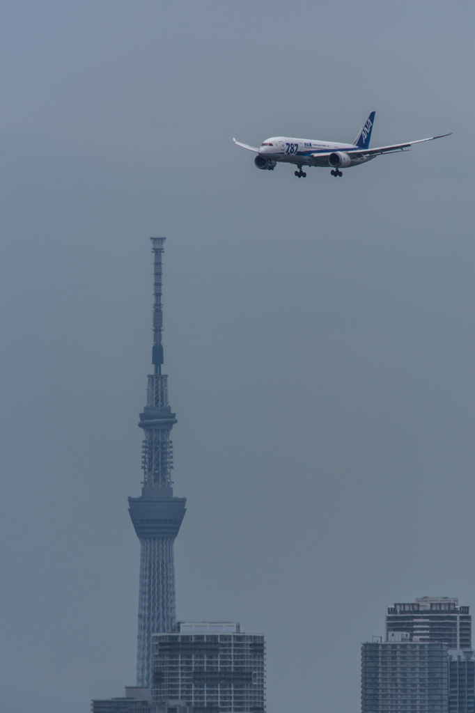 NIKON D7200-20150718-120702-0