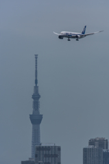 NIKON D7200-20150718-120702-0