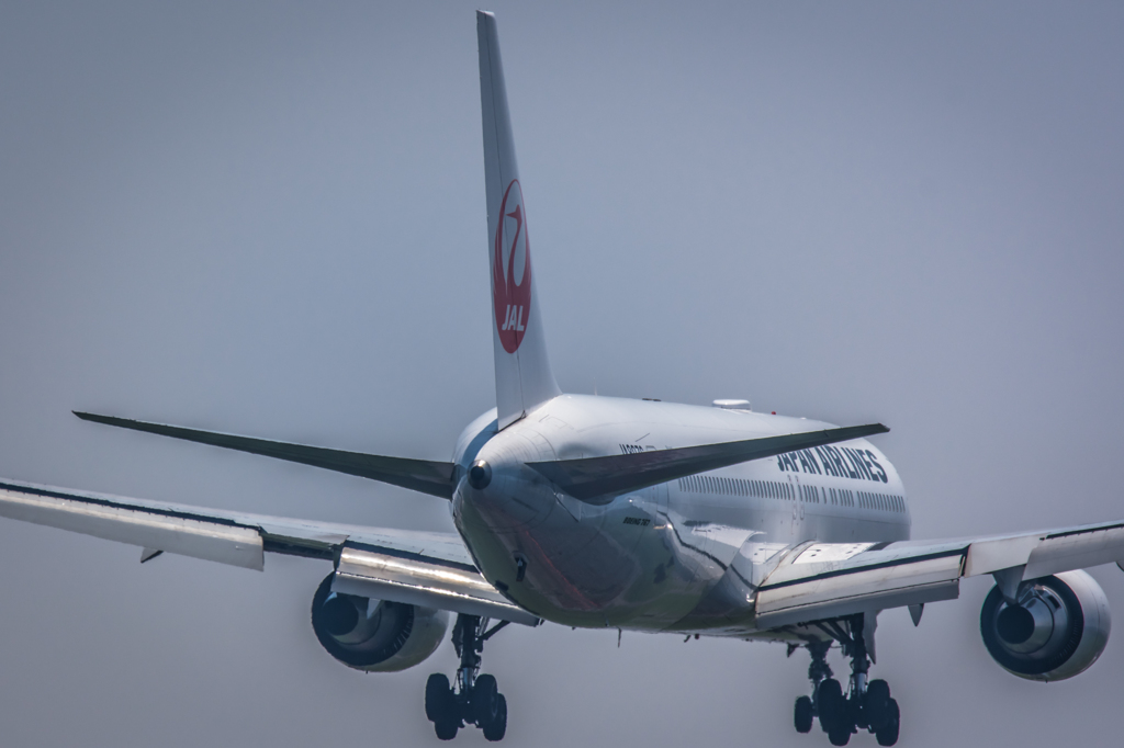 NIKON D7200-20150711-124024-0