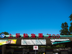 E-M5MarkII-20151008-112746-0