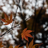 20151114-082710-0-E-M5MarkII
