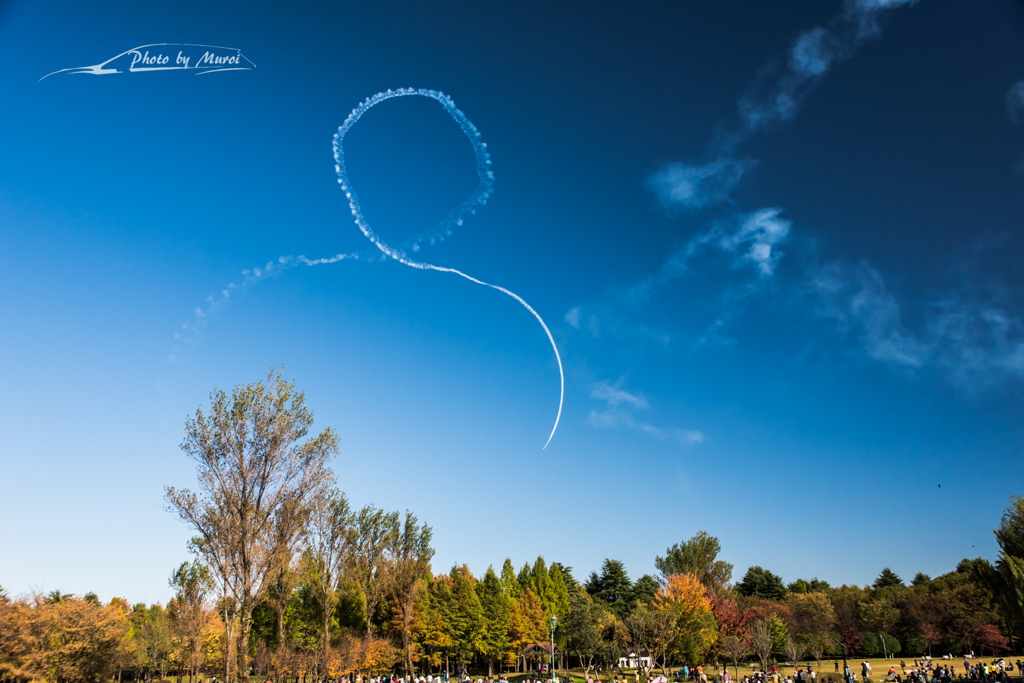 20151103-140437-0-NIKON D810