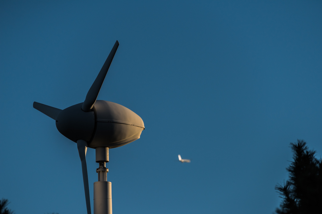 20151205-154358-0-NIKON D810