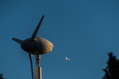 20151205-154358-0-NIKON D810
