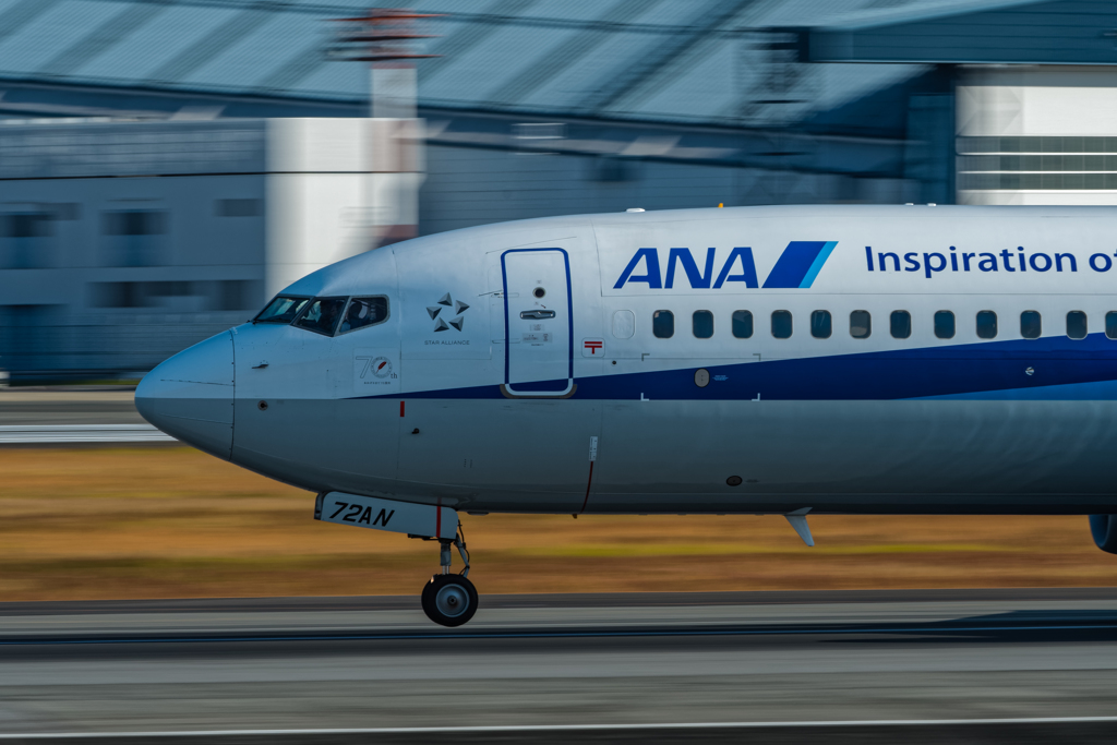 ANA B737