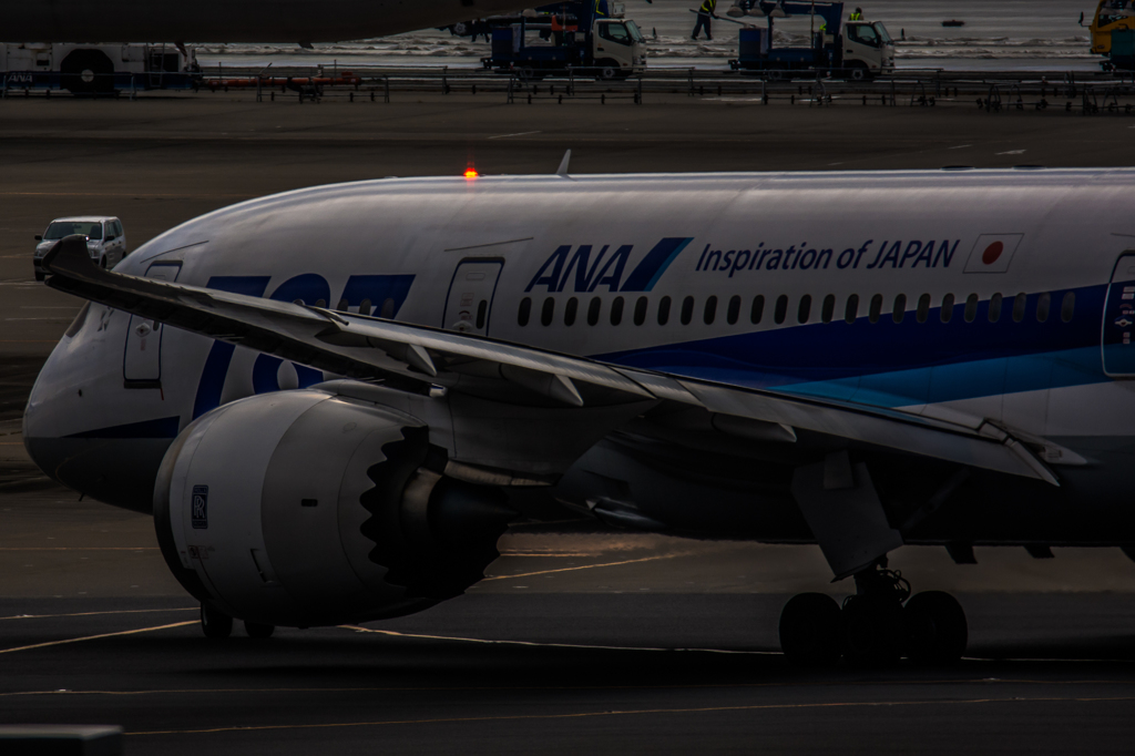 20151031-084914-0-NIKON D7200-2