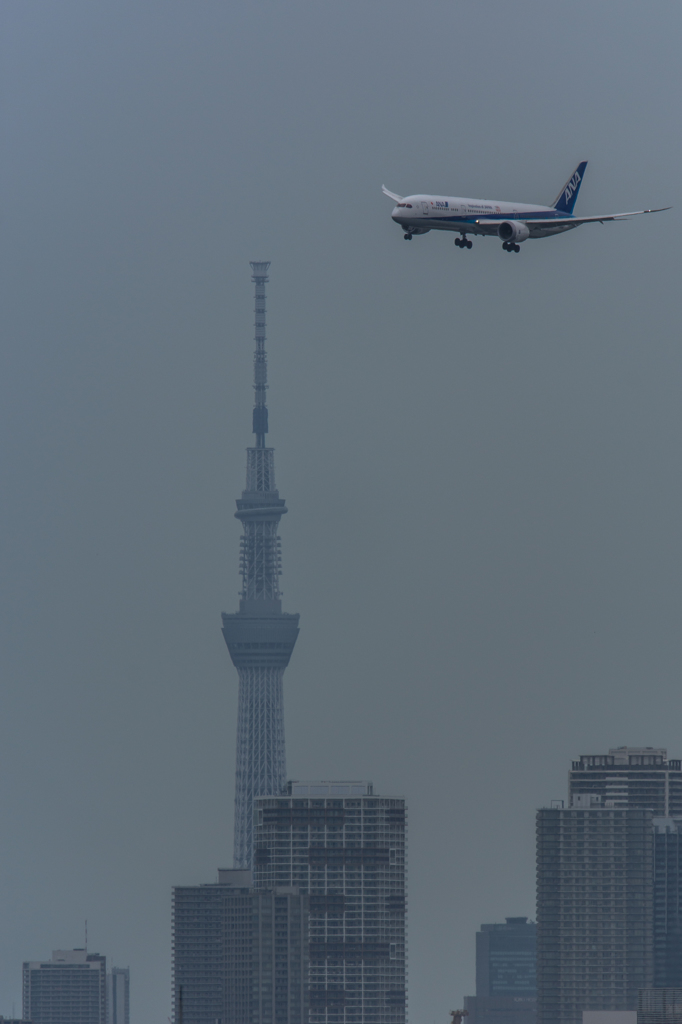 NIKON D7200-20150718-123418-0