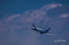 NIKON D7200-20150921-122920-0