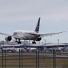 ポーランド航空