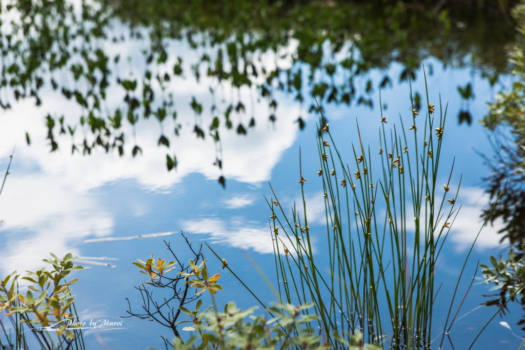NIKON D810-20150822-094705-0
