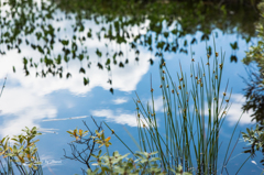 NIKON D810-20150822-094705-0