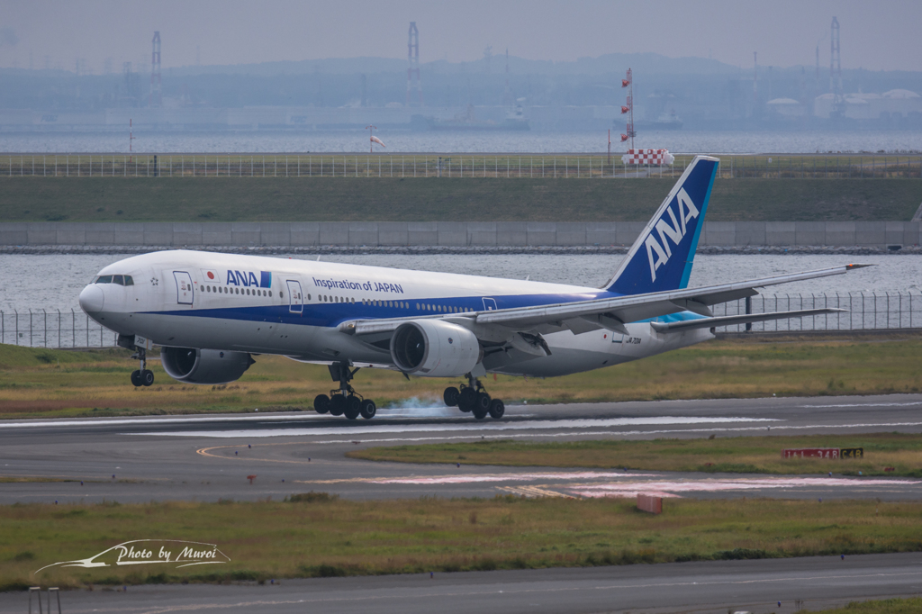 NIKON D7200-20151031-090557-0