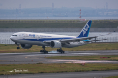 NIKON D7200-20151031-090557-0