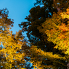 NIKON D810-20151025-172527-0