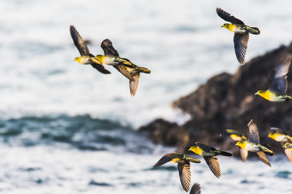 NIKON D7200-20150725-054003-0