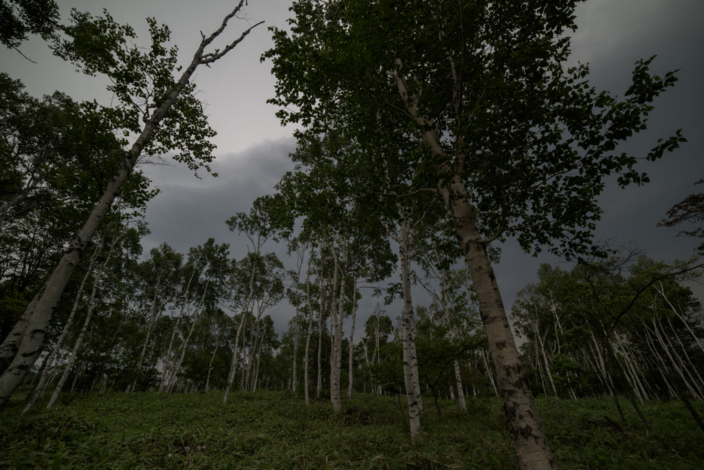 NIKON D810-20150704-095951-0