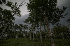 NIKON D810-20150704-095951-0