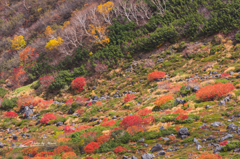 NIKON D810-20151004-104557-0
