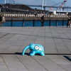 20160124-135433-0-NIKON D810