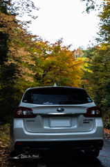 NIKON D810-20151018-072017-0