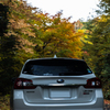 NIKON D810-20151018-072017-0