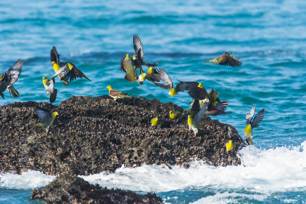 NIKON D7200-20150725-071155-0
