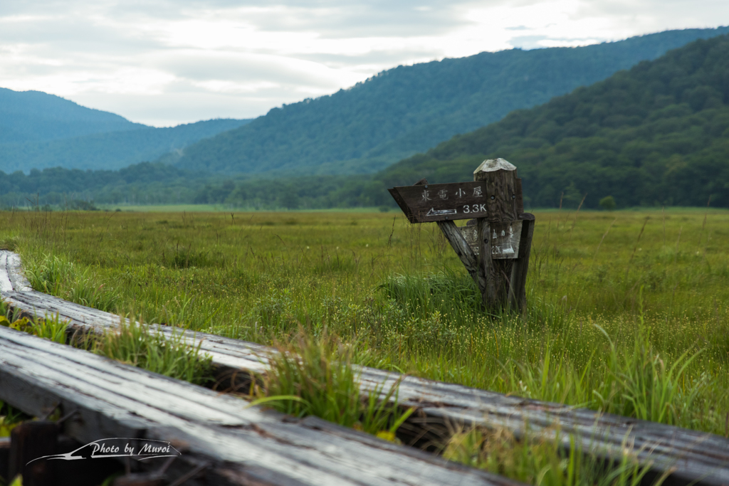 NIKON D810-20150822-072635-0