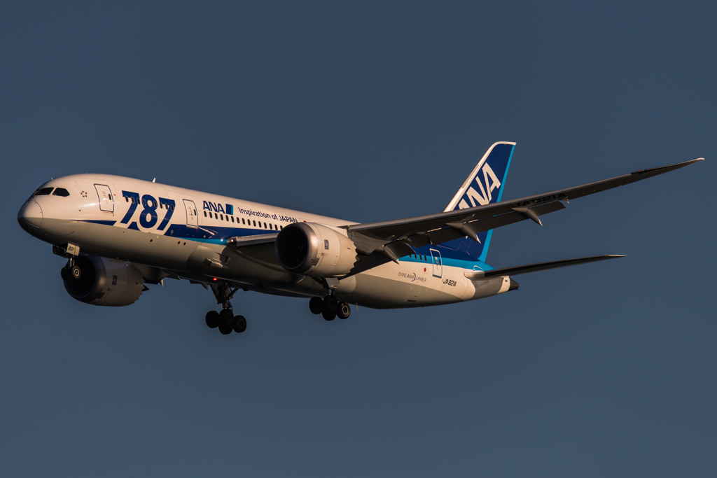 20151220-140433-0-NIKON D810