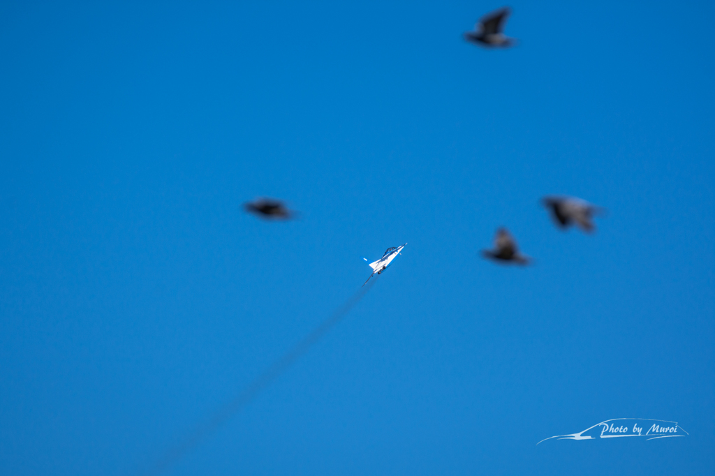 20151103-133324-0-NIKON D7200