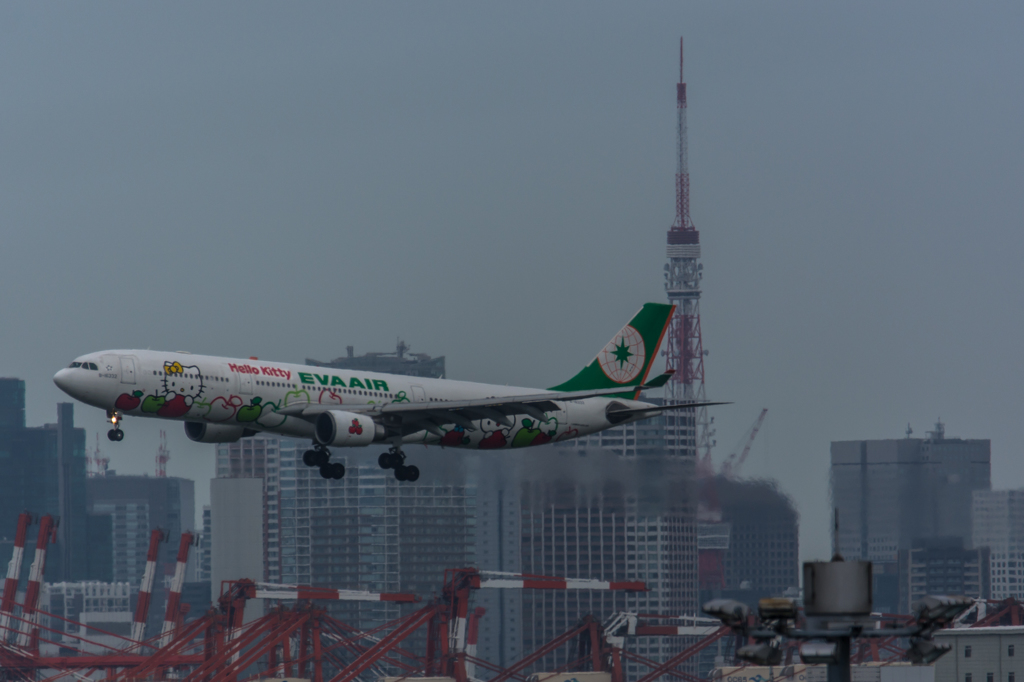 NIKON D7200-20150718-113823-0