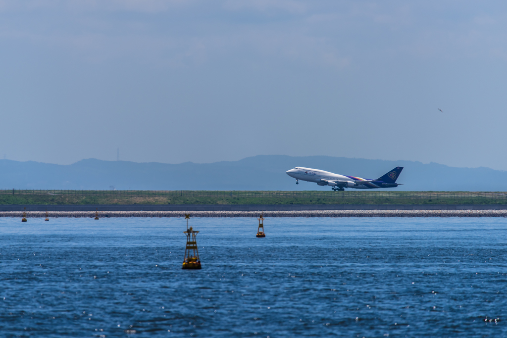 NIKON D810-20150620-110806-0